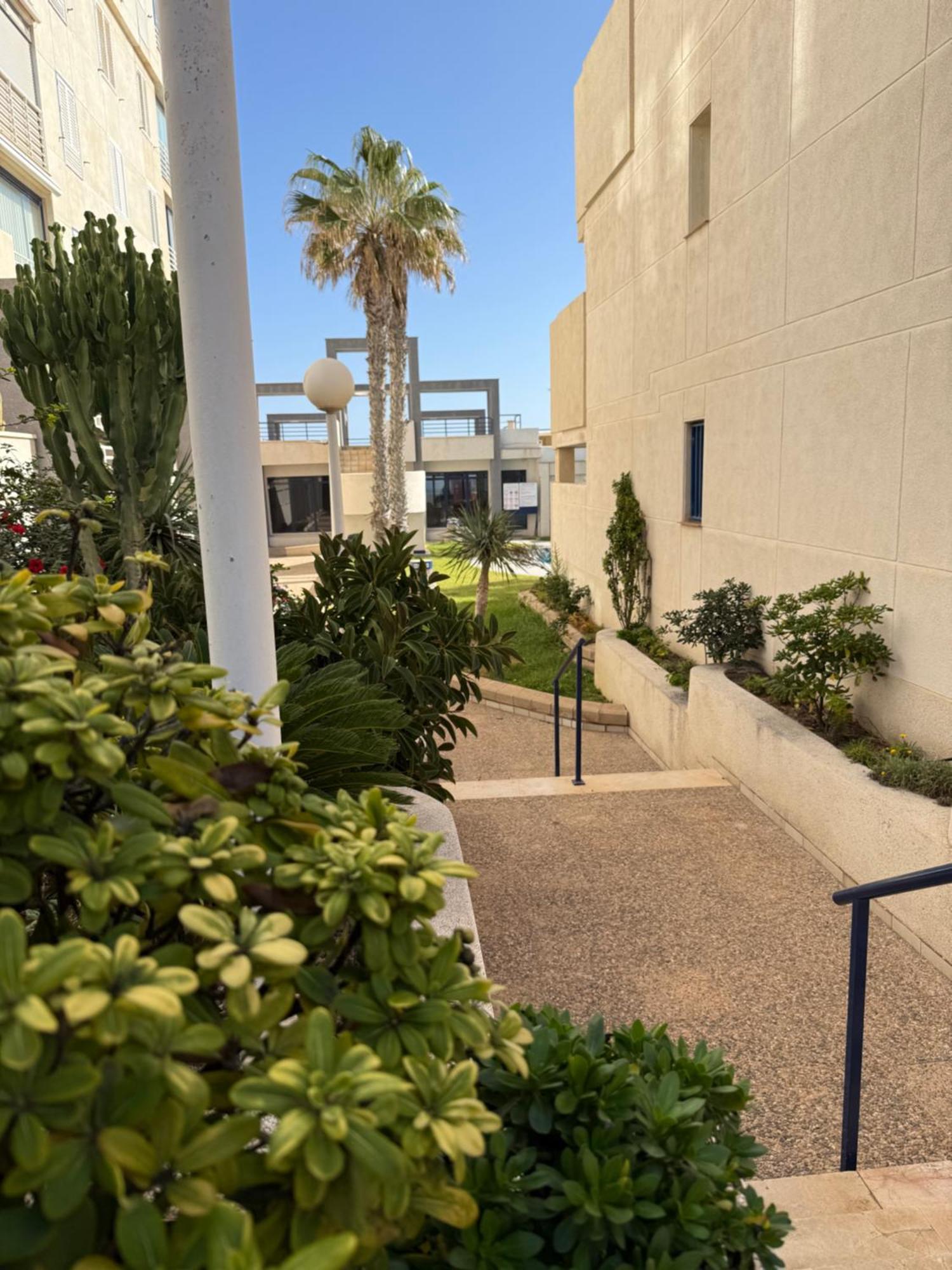 Torrevieja La Mata Primera Linea Playa Екстериор снимка